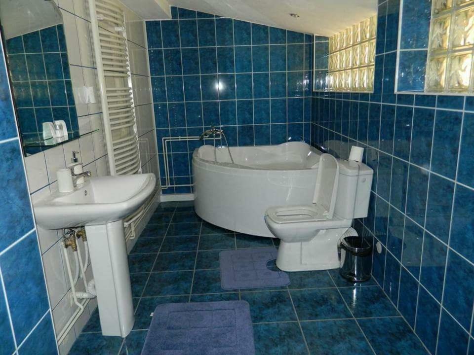 Casa Cristian Villa Sinaia Kültér fotó