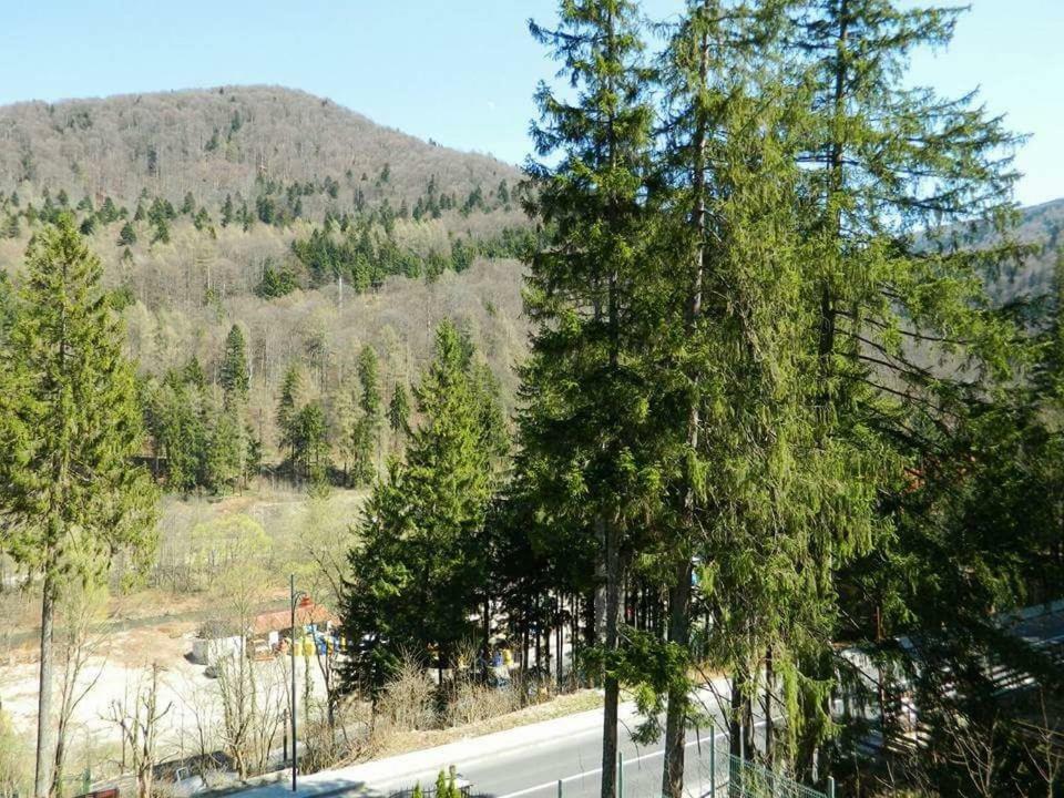 Casa Cristian Villa Sinaia Kültér fotó